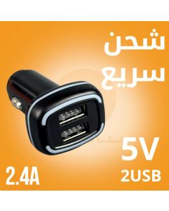 WUW-C191 Dual USB 12W Car Charger