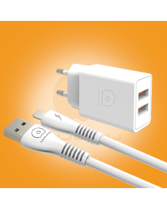 WUW-T55 Dual USB Fast Wall Charger with Type-C Cable