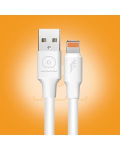 WUW-X169 USB to Lightning Fast Charging Cable for iPhone 5A
